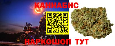 гидра Пенза