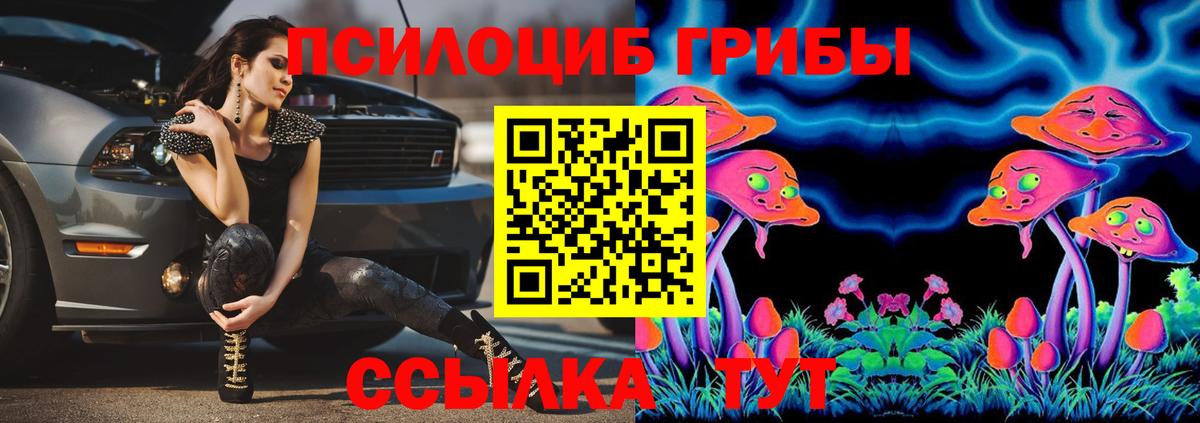 Обнинск  Псилоцибиновые грибы MAGIC MUSHROOMS  Вход с VPN  закладки  Псилоцибиновые грибы Psilocybine cubensis 
